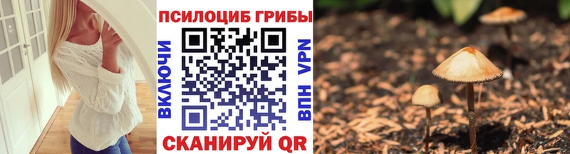 Галлюциногенные грибы Psilocybine cubensis  где купить наркоту  Тула 