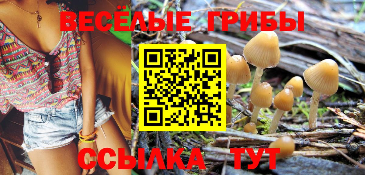 Галлюциногенные грибы ЛСД Тула