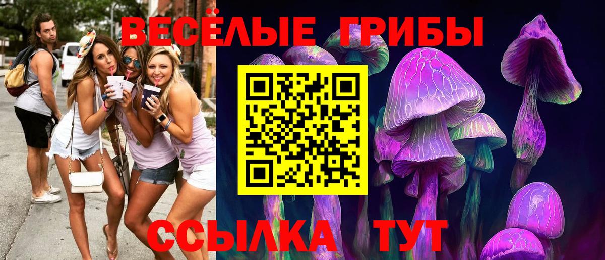 как найти   Вход с VPN  Тула  Псилоцибиновые грибы прущие грибы 